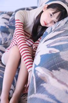 美丽的小蜜蜂美版满天星